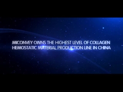 Introduzione di MICONVEY Company